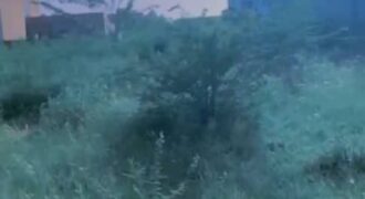 🏡 Terrain à vendre – Yene Nditakh